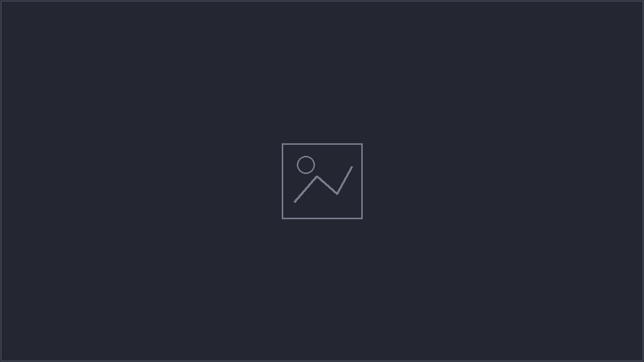 金华职业技术大学信息工程学院师生走进巨身智能，开展产学研深度交流